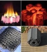 ʲô�����ն�ú���ն�ú��̼�O(sh��)��